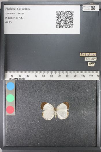 Media type: image;   Entomology 120605